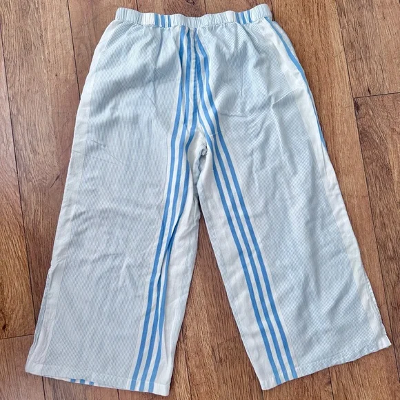 Fresh Produce Blue and White Striped Cotton Pull-On Capri Pants - Picture 4 of 10